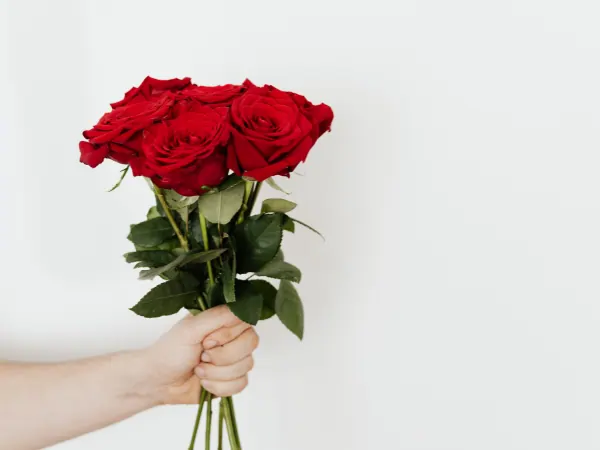 conservacion de las rosas